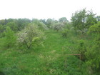 zahrada nad domem