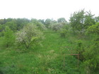 zahrada nad domem 